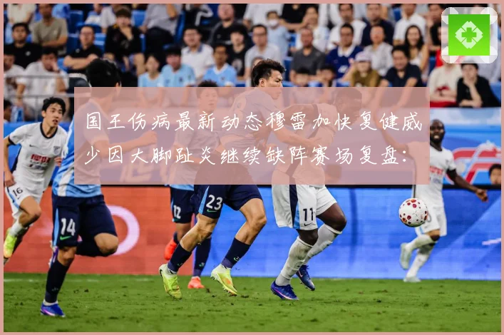 国王伤病最新动态穆雷加快复健威少因大脚趾炎继续缺阵赛场复盘：最新赛事动态与深度分析